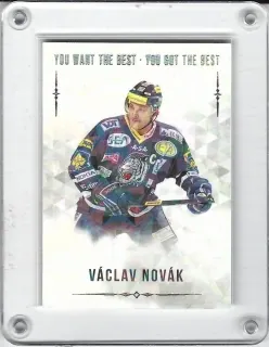 Novák Václav OFS YWB-YGB 2018-19 Silver /22 č.72